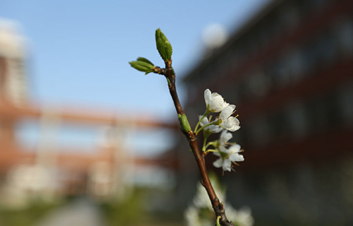 菏澤市第二職業高中