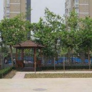 石家莊曙光中等專業學校