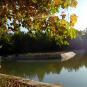 石家莊現代科技中等專業學校