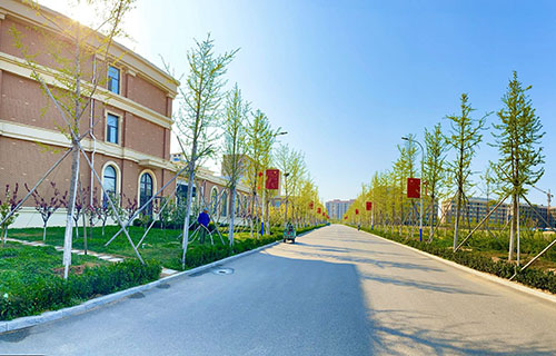 煙臺黃金職業學院