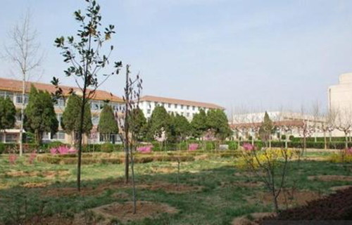 招遠市第四職業中等專業學校