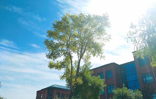 鄒城市工業職工中等專業學校