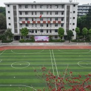 辛集勞動技工學校