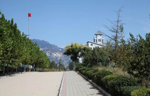 泰山護理職業學院