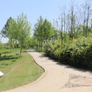 石家莊中英航空中等專業學校